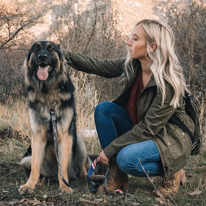 Wolfgang Heavy Duty Martingale Dog Collar with Quick Release Nylon Buckle for Walking & Training, DigitalDog Print, Small