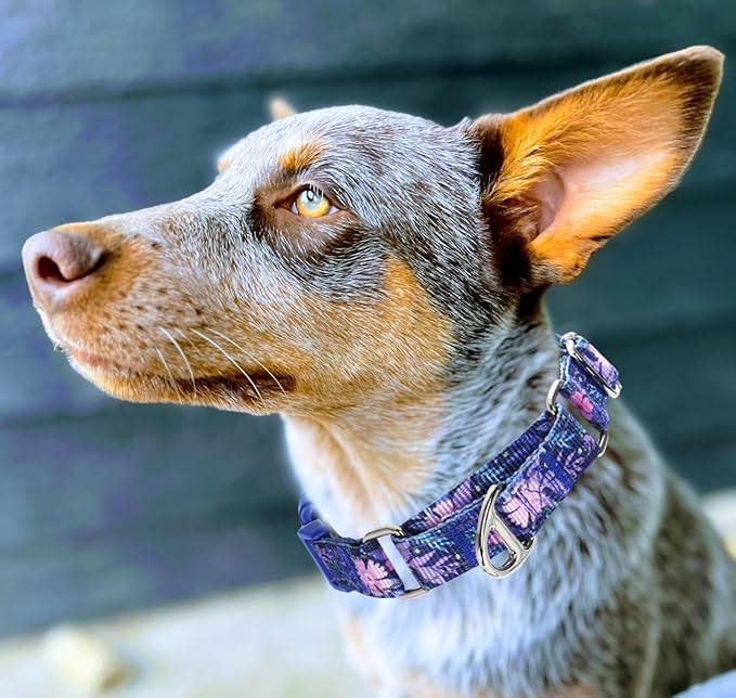 Martingale Collar for Dogs - No Slip Choke Heavy Duty Collar with Reflective Nylon, Quick Release Buckle & Bohemian Floral Pattern for Training, Walking & Overexcited Dogs S