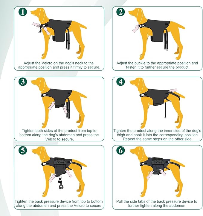 Dog Back Brace for IVDD, Arthritis, Slipped and Herniated Discs – Provides Back Support and Pain Relief, Stabilizes Spine for Surgical Recovery and Mobility, Dogs Back Disease Prevention(Black,L)