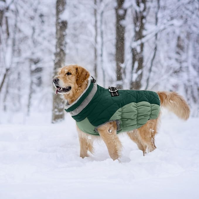 Lelepet Warm Dog Winter Coat Dog Coats for Small Dogs Waterproof Dogs Jacket with Harness Built in Reflective Cold Weather Coats Windproof Zip-Up Winter Fleece Vest Snowsuit Chihuahua Teal Green