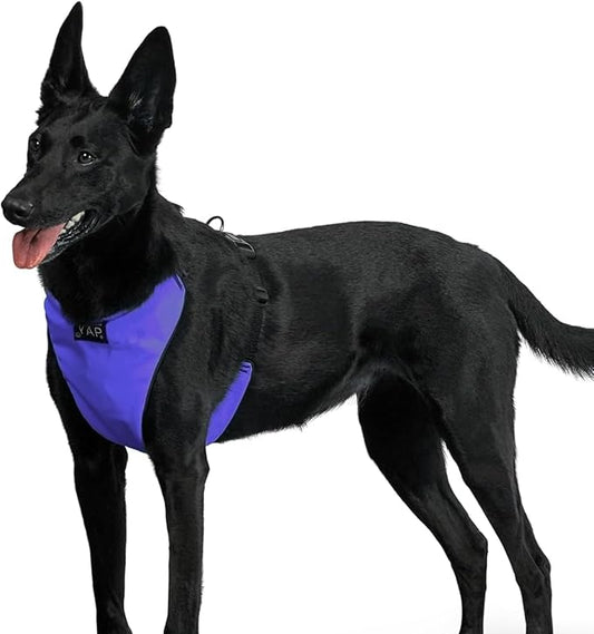 YAP Techno® No Pull Harness Medium Size Dog, 4-Way Adjustable, Temperature Controlled Pet Vest Harness, No Choke Dog Harness with Easy Control Handle for All Breeds; 25-45 lbs (Royal Purple, Medium)