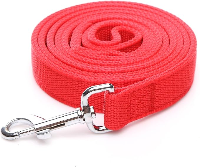 Strong Nylon Dog Leash with 2-Layer, 4 FT/ 6 FT/ 7FT Long, 1 Inch Wide for Medium Large Dogs (Red, 1'' x 2 FT)