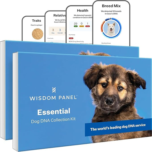 Wisdom Panel Essential Dog DNA Kit: Most Accurate Test for 365+ Breeds, 30 Genetic Health Conditions, 50+ Traits, Relatives, Ancestry - 2 Pack