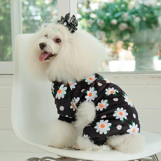 CuteBone Small Dogs Outfit Soft Puppy Onesies Pjs Dog Pajamas Pet Coat Cat Apparel Comfy Doggie Jumpsuit Bodysuit for All Seasons P221S