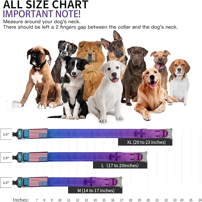 Tactical Nylon Dog Collar - Heavy Duty Metal Buckle with Handle for Dog Training, with Patches (Gradient 1, L)