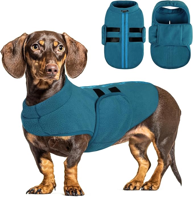 Queenmore Dog Sweaters - Soft Fleece Pullover Jacket, Warm Winter Dog Clothes, Dachshund & Cat Size, Boy or Girl (Peacock-Blue, S)