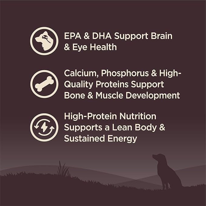 Wellness Natural Pet Food Wellness CORE Grain-Free High-Protein Large Breed Dry Dog Food, Natural Ingredients, Made in USA with Real Chicken (Puppy, 24-Pound Bag)