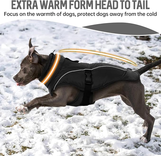 DENTRUN Medium Dog Winter Jacket - Warm Reflective Windproof Coat, Adjustable Neck & Snap Closure, Water Repellent Thick Fleece Vest, Fleece Lined for Beagle Pug, Black, M