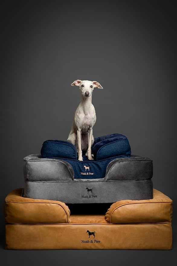 NOAH & PAW XL Dog Bed, 45x35x11 Inch, Orthopedic Large Dog Beds, Eggshell Memory Foam Infused with Cooling Gel, Inner Cover, Waterproof, Machine Washable (Denim Sofa Collection)