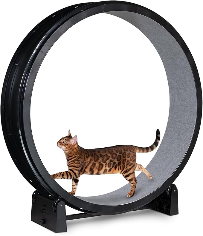 One Fast Cat - Cat Exercise Wheel - Gen. 7 - Safe 48" Diameter - Made in The USA - Black Wheel with Gray Felt Traction Pads and Light-Up LED Inline Wheels