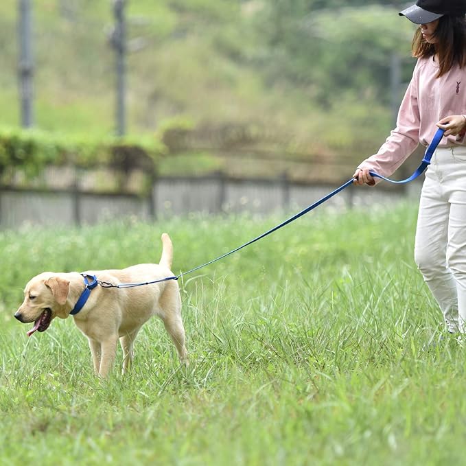 Hyhug Heavy Duty Nylon Escape-Proof Martingale Dog Collar for Large Giant Breeds Dogs Comfy and Safe Collar - Daily Use Walking and Professional Training.(Large,Bright Blue)