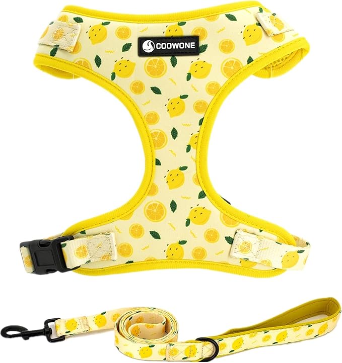 Dog Harness and Leash Set, Adjustable Dog Harness, Dog Leash, No Pull No Choke Puppy Harnesses for Walking Training for Small Medium Large Pet