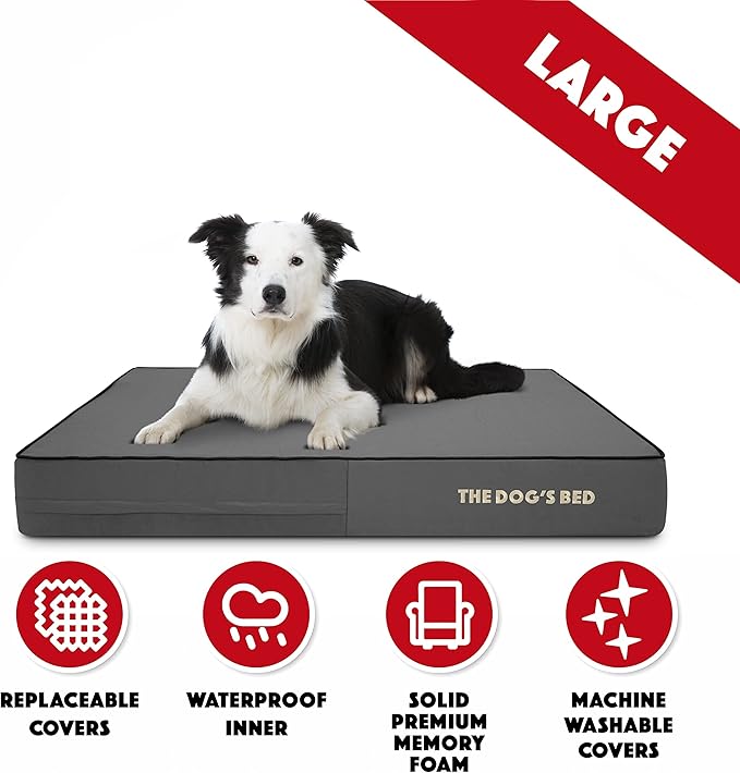 The Dog’s Bed Orthopedic Memory Foam Dog Bed, Large Grey & Black, Waterproof, Supportive Dog Bed with Replaceable Covers