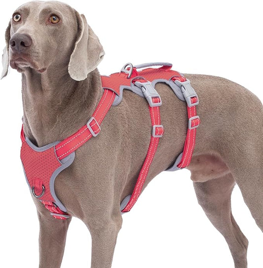 Huntboo Escape Proof Dog Harness, No Pull Reflective Harness with Lift Handle, Adjustable Pet Vest with Front and Back Leash Clips for Small Medium Large Dogs Walking Hiking Training (Red,L)