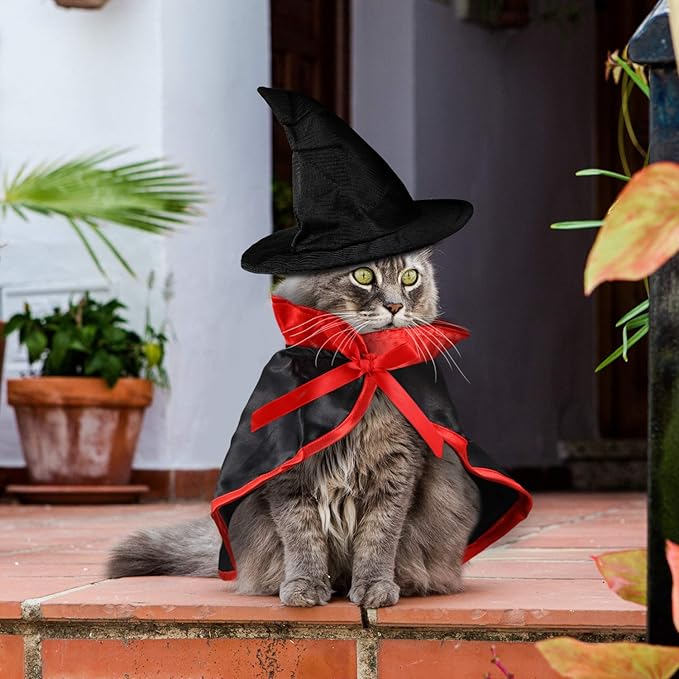 Frienda 2 Pieces Halloween Cat Costume Funny Wick Pet Vampire Cloak Witch Cape and Hat for Kitten Puppy Small Cat Dog Cosplay Halloween Party Supplies(Basic)