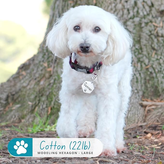 Ultra Joys Dog Tags Personalized for Pets - Hollow Paw Custom Pet ID Tag - Engraved Dog Tag for Small, Large Dogs - Large Hexagon in Black