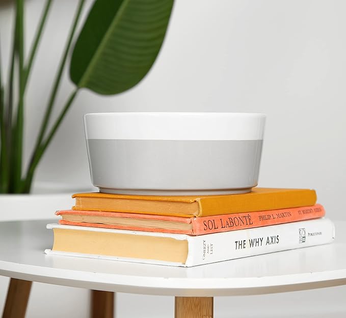 Waggo Dipper Ceramic Dog Bowl for Small and Large Breeds - Heavyweight and Durable Pet Food and Water Dish Crock, Dishwasher Safe, Modern (Rose, Small)