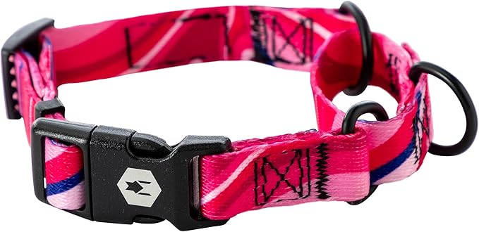 Wolfgang Heavy Duty Martingale Dog Collar with Quick Release Nylon Buckle for Walking & Training, MarbleSwirl Print, Small