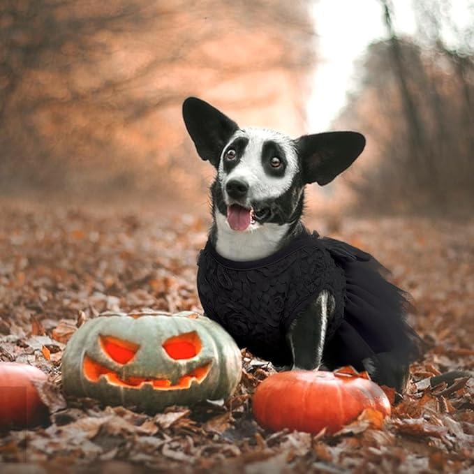 QBLEEV Dog Dress, X-Large, Black, Cotton, Lace Tutu Skirt, Bowknot, Flower Girl, for Medium Dogs, Wedding, Birthday, Occasion