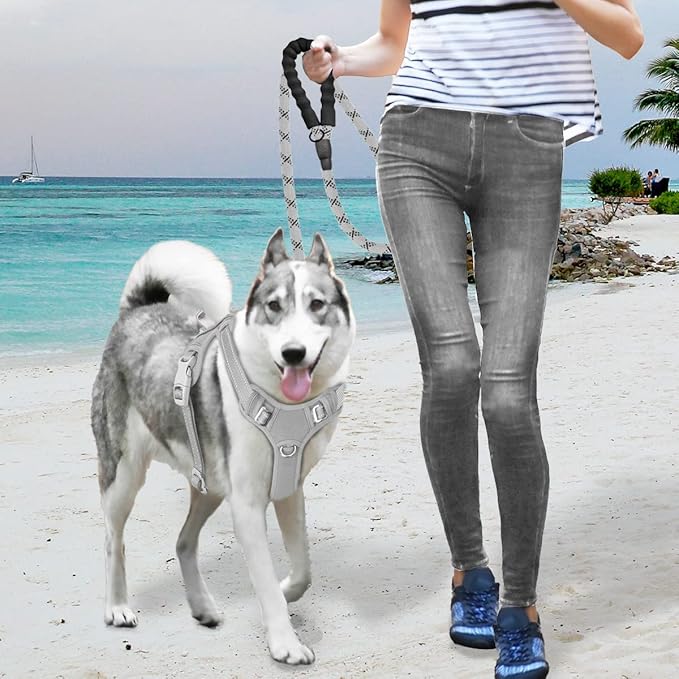 BARKBAY No Pull Dog Harness Large Reflective Dog Harness with Front Clip and Easy Control Handle for Walking Training Running with ID tag Pocket(Grey,S)