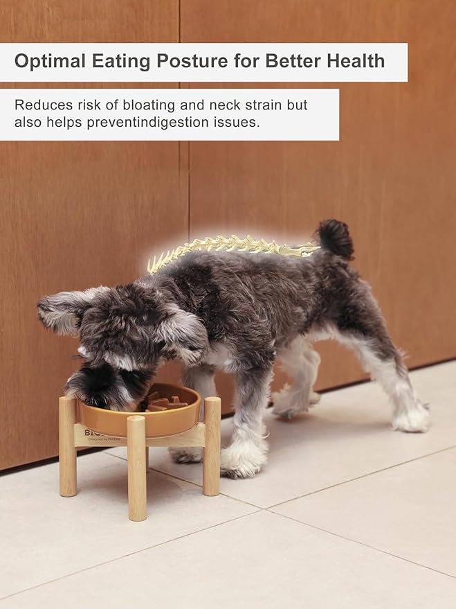 Ceramic Maze Dog Slow Feeder with Non-Slip Silicone Rim (& Bamboo Stand) – Heavy-Duty Stoneware Bowl with Puzzle Pattern for Bloating & Obesity Prevention (Raised-Blue-S)