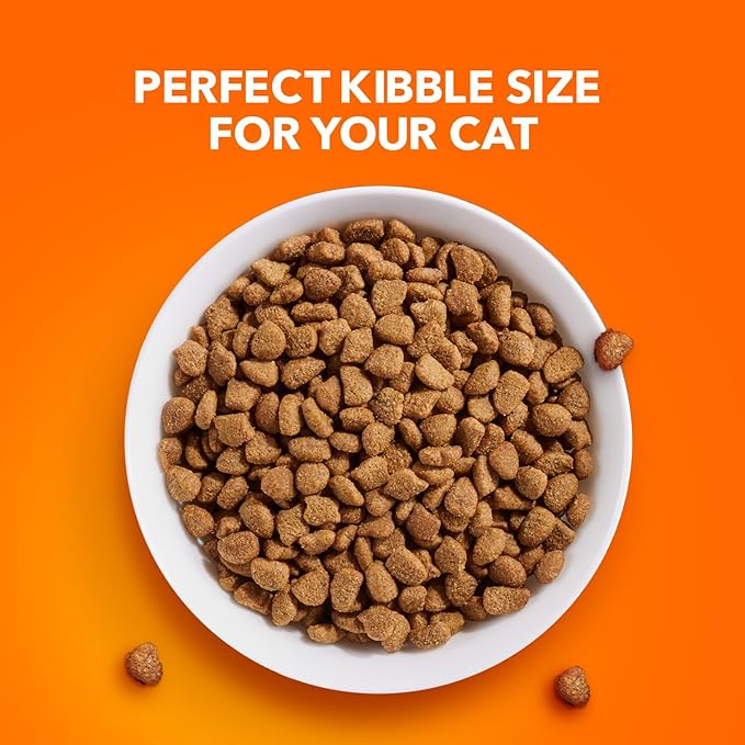 IAMS Proactive Health Indoor Weight Control & Hairball Care Adult Dry Cat Food, Chicken & Turkey Recipe, 3.5 lb. Bag