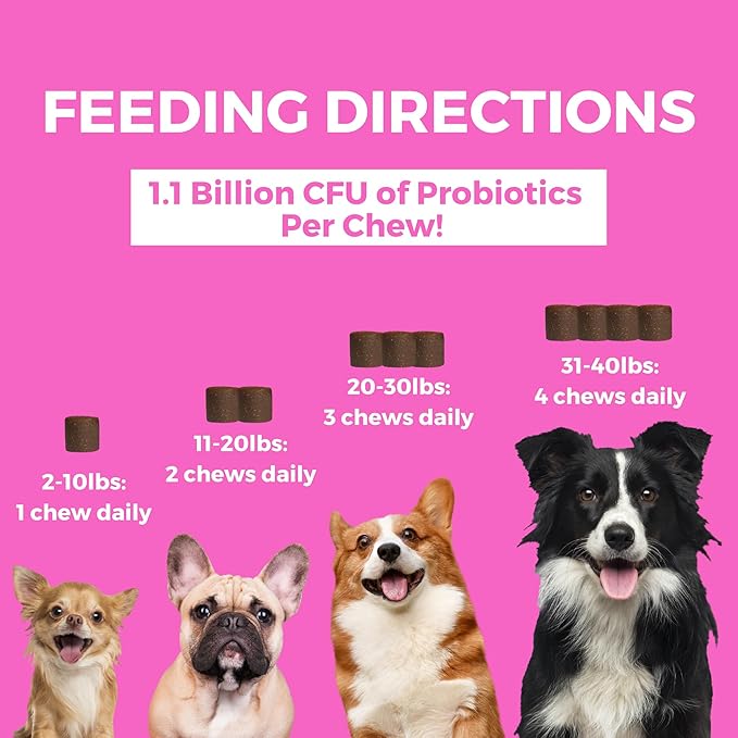 Nootie Progility Mini Pre & Probiotic Supplement, Digestive Aid Supplement for Dogs, 60 Soft Chews per Container (Pack of 2)