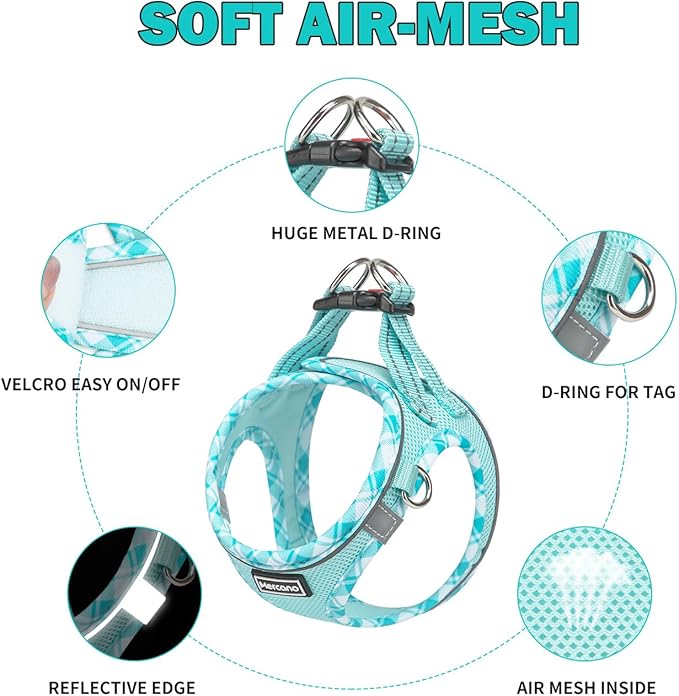 Mercano Soft Mesh Dog Harness and Leash Set, No-Chock Step-in Reflective Breathable Lightweight Easy Walk Vest Harnesses with Safety Buckle for Small Dogs, Cats (Light Blue, XS)