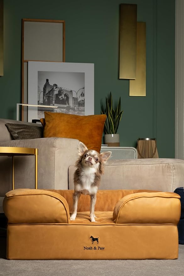 NOAH & PAW Dog Bed, 28x23x11 Inch, Orthopedic Dog Beds for Medium Size Pets, Eggshell Memory Foam Infused with Cooling Gel, Inner Cover, Waterproof, Machine Washable (Faux Leather Sofa Collection)