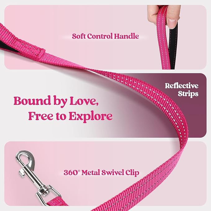 rabbitgoo Dog Harness Small Sized and Leash Set, Step in Soft Light Puppy Vest, Breathable Mesh Pet Harness, Reflective for Safe Easy Walking, Rose Red XS