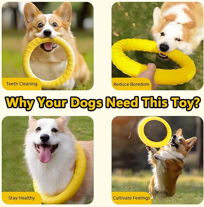Outdoor Dog Flying Disc Toy, Floating Ring Toys, Dogs Chew Toys Pet Chewers for Small Medium Large Puppy Training Fetching Throwing Catching Interactive Play, Swimming, Water Floats Toys (11''/ 29cm)