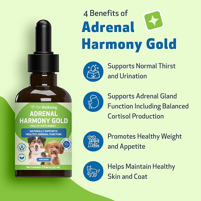 Pet Wellbeing Adrenal Harmony Gold for Dogs - Vet-Formulated - Supports Healthy Adrenal Function, Normal Cortisol Levels, Healthy Thirst & Weight – Holistic Supplement – 2 oz (59 ml)
