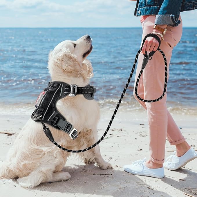 BARKBAY No Pull Dog Harness 3 Buckles Large Reflective Dog Harness with Front Clip and Easy Control Handle for Walking Training Running with ID tag Pocket(Black,S)