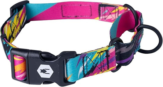 Wolfgang Heavy Duty Martingale Dog Collar with Quick Release Nylon Buckle for Walking & Training, FuzzyTails Print, Small