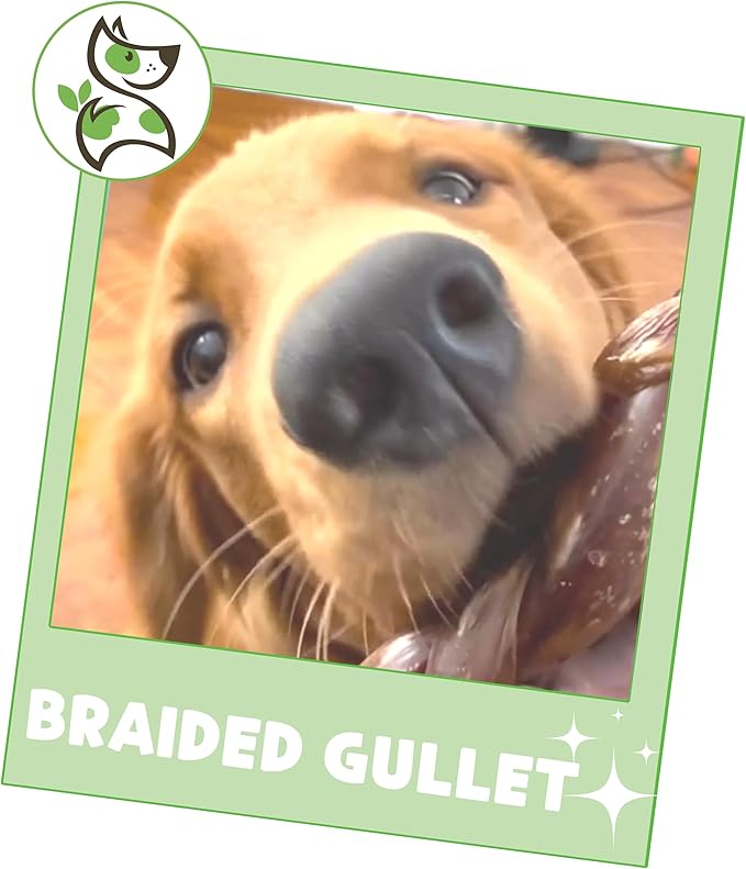 Nature Gnaws Braided Beef Chews for Dogs 5-6" (3 Count) - Long Lasting for Small and Medium Dogs - Natural Beef Gullet Jerky Dog Chew Treats