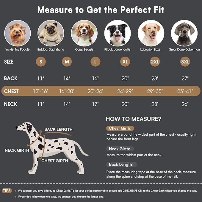 Queenmore Winter Dog Coat Warm Dog Jacket Vest Waterproof Puffer Fleece Snowsuit Adjustable Buckle Leash Hole Reflective Cold Weather Parka for Small Medium Large Dogs Girl Boy Black M