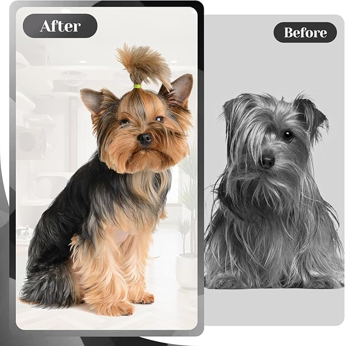 Professional Dog Grooming Scissors Set,Curved Dog Grooming, Thinning Scissors,Chunkers,440C Stainless Steel pet grooming scissors