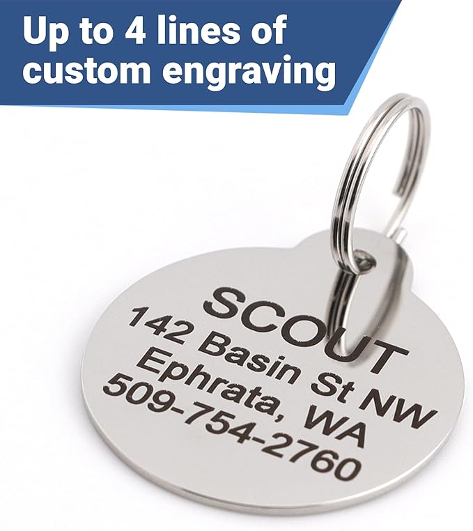 GoTags Paw Print Round Stainless Steel Pet Tag for Dogs and Cats, Personalized with 4 Lines of Custom Engraved ID Name and Number, in Stainless Steel and 15 Colors Small and Large, Silver