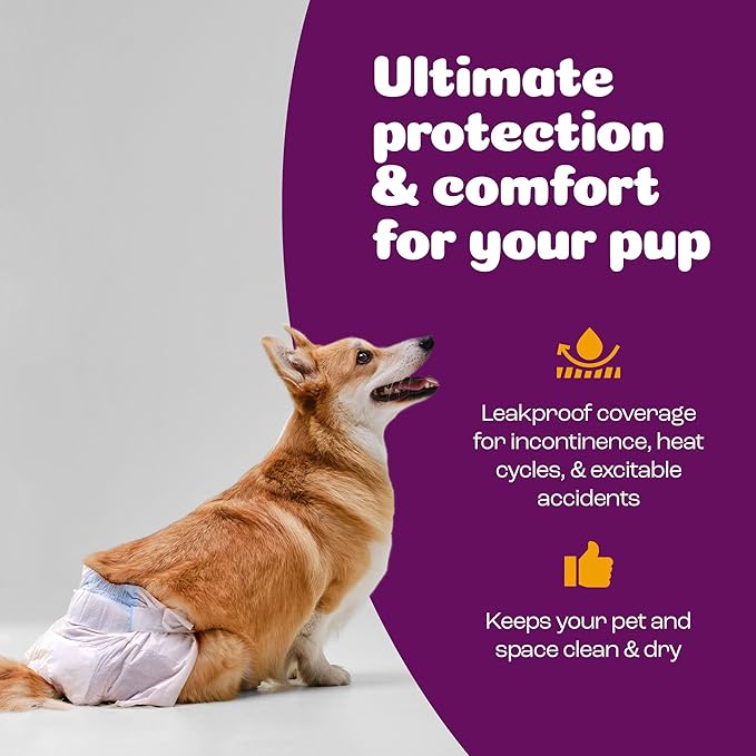 Inspire Pet Care Dog Diapers Female Dogs | Bulk Value Doggie Incontinence, Accidents, for Heat, Pee or Period and Housebreaking (Medium (48 Count))