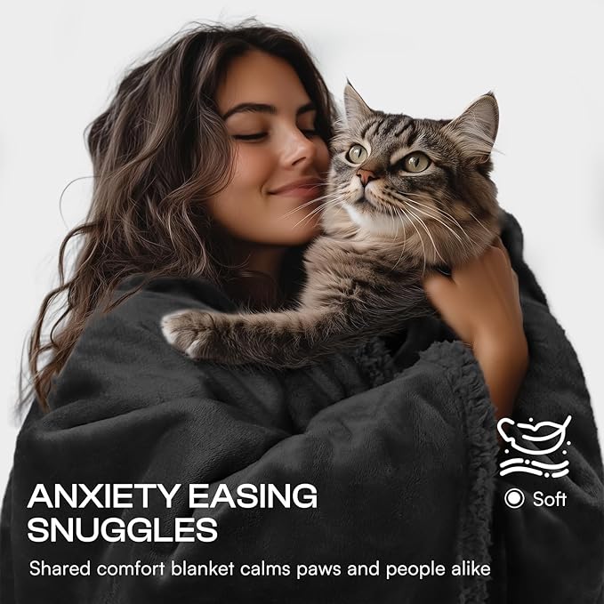 Luciphia Waterproof Pet Blanket, Liquid Pee Proof Dog Blanket for Sofa Bed Couch, Reversible Sherpa Fleece Furniture Protector Cover for Small Medium Large Dogs Cats, Black Queen Size（90" x 82"）