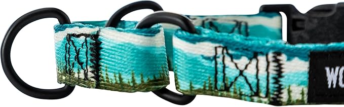 Wolfgang Heavy Duty Martingale Dog Collar with Quick Release Nylon Buckle for Walking & Training, GreatEscape Print, Extra Large