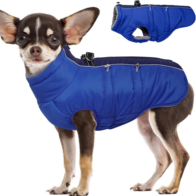 Small Dog Coat - Winter Jacket, Warm Zip Up Snowsuit, Reflective, Water-Resistant, Royal-Blue