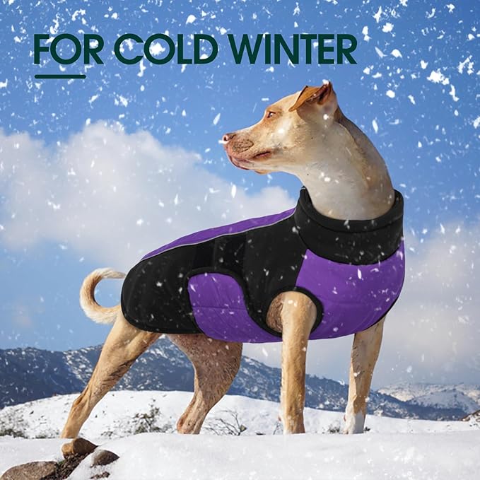 Kuoser Dog Jacket, Winter Dog Coats for Medium Dogs, Reflective Doggie Cold Weather Coats Pet Clothes, Puppy Snow Jacket for Frech Bulldog, Boston Terrier, Purple M