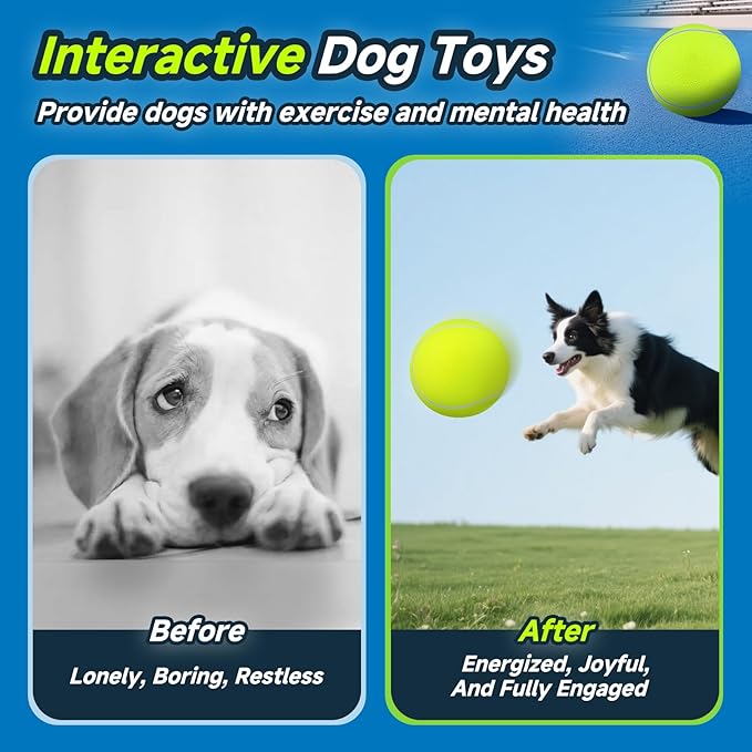 HETOO Giant Tennis Balls for Dogs: 9.5 inch Large Dog Toys- Outdoor Herding Dog Toys Balls- Big Dog Tennis Ball for Small Medium Large Dogs- Pet Toys Birthday Gift- Golden Retriever Gifts- Yellow