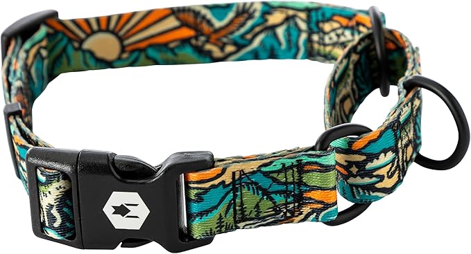 Wolfgang Heavy Duty Martingale Dog Collar with Quick Release Nylon Buckle for Walking & Training, WildWolf Print, Large