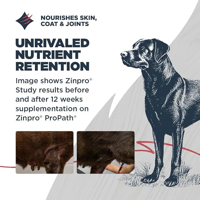 Blackwood Complete & Balanced Diet Dry Dog Food, Chicken Meal with Ancient Grains & Corn, 24 Pound Bag, Slow Cooked with Vitamins & Minerals
