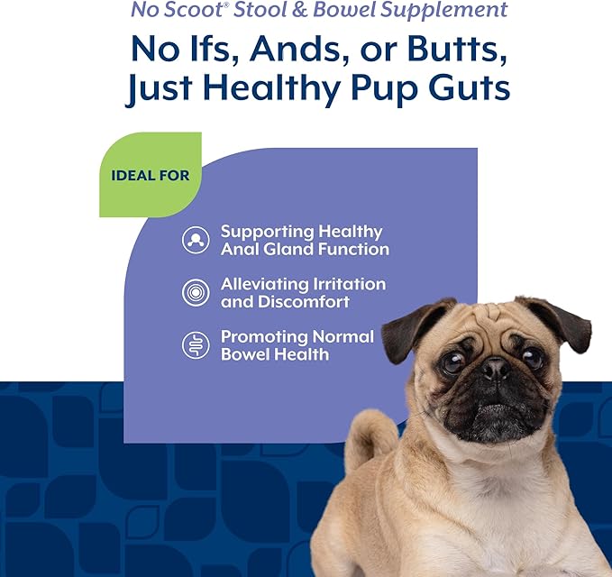 NaturVet - No Scoot for Dogs - 60 Soft Chews - Plus Pumpkin - Supports Healthy Anal Gland & Bowel Function - Enhanced with Beet Pulp & Psyllium Husk
