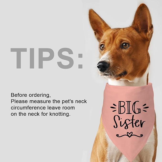 Big Sister&Baby Security in Training Dog Bandana, Dog Bandanas for Dogs Pet Accessories for Dogs Lovers Pregnancy Reveal Ideas, Soft Triangle Scarf for Small Medium Large Dogs (Big Sister Pink)