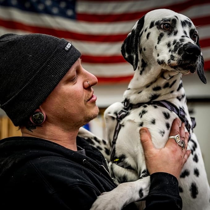 Wolfgang Heavy Duty Adjustable Dog Harness, Pull-Tested to Over 800 lbs for Walking & Training, DarkSkies Print, Small