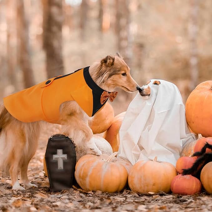 Kuoser Dog Tuxedo Suit and Bandana Set, Pumpkin Color Dogs Thanksgiving Outfit Adjustable Dog Halloween Costume with Bow Tie for Large Medium Small Dogs Golden Retriever Samo Bulldogs, S